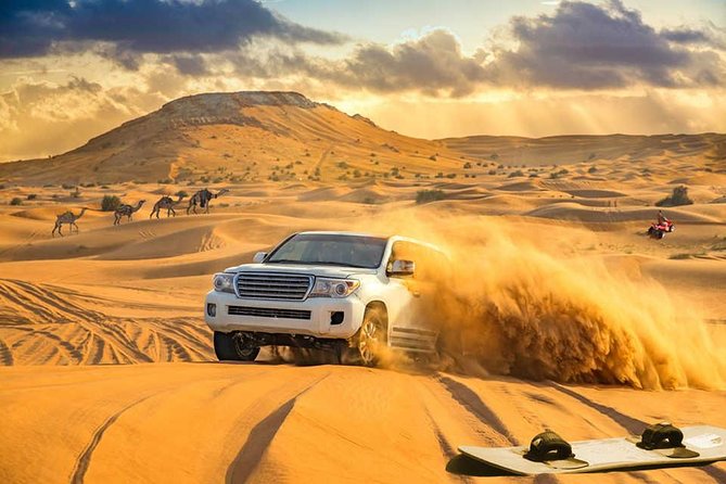 Desert adventures